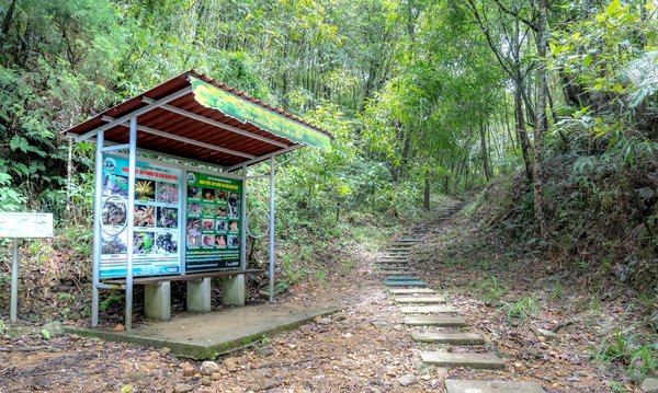 Les tendances en matière de tourisme durable en 2024